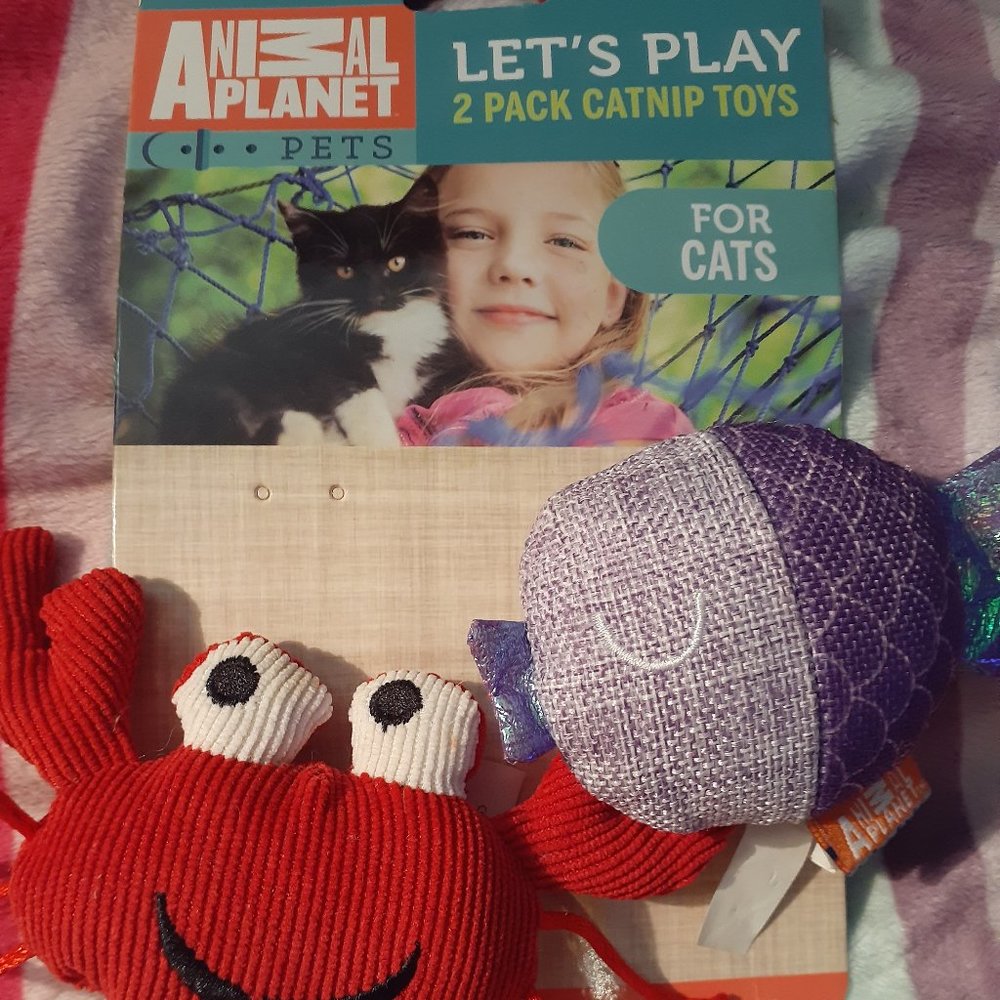 SALE!!! Brand New Cat Toy